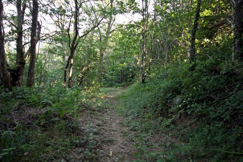 杜塔恩河谷露营地 Saint-Cirgue 外观 照片